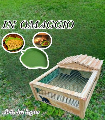 Terrario con casetta - casetta, per